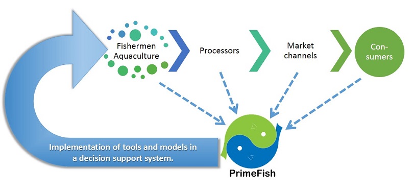 PrimeFish