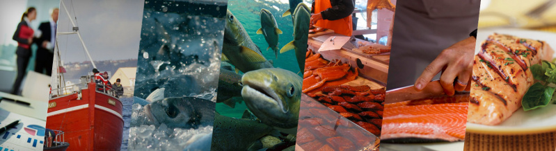 File:BG primefish.jpg